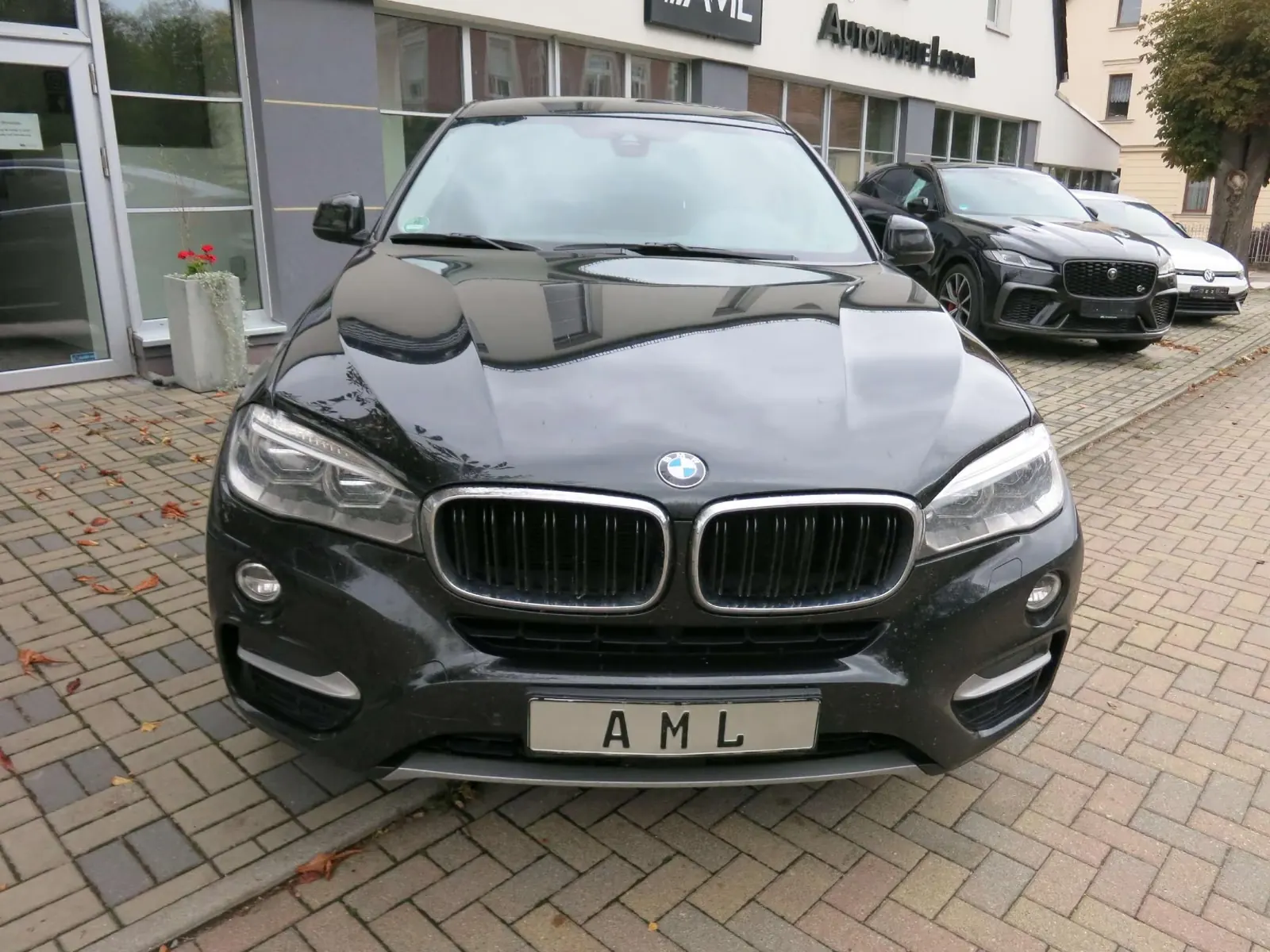 BMW X6 xDrive40d 3.0d Steptronic (2016) zum Import aus Deutschland – Foto 2 von 11